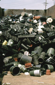 Recycling Plastic Pots & Trays